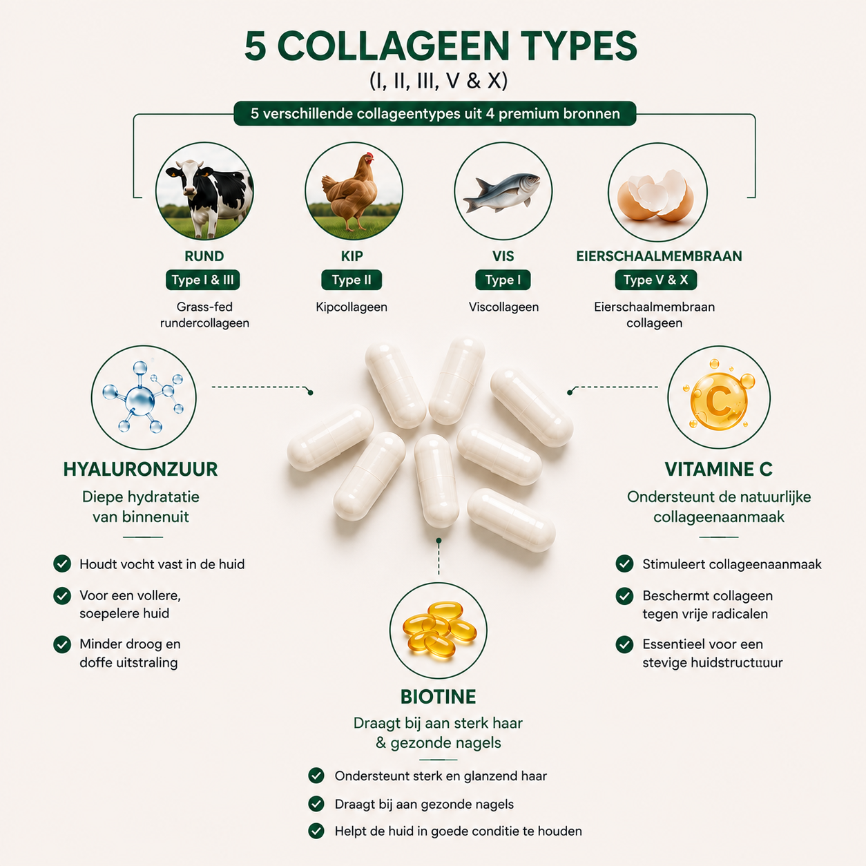 Multi Collagen Peptides Complex