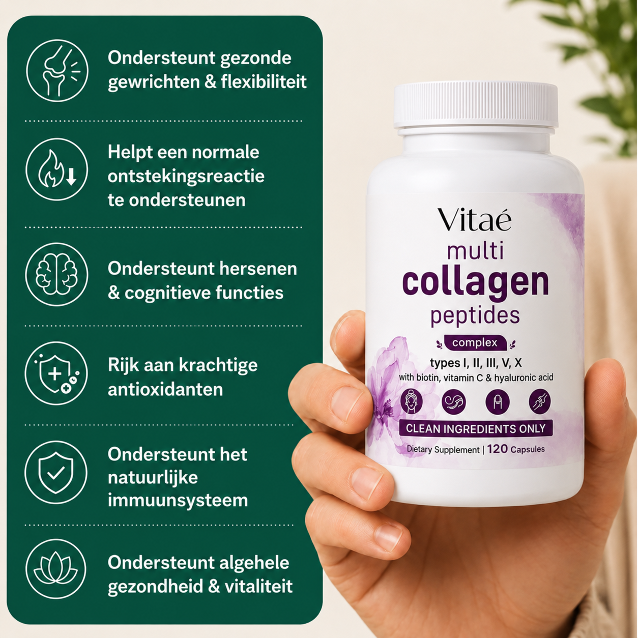 Multi Collageen Peptides complex Gewrichten