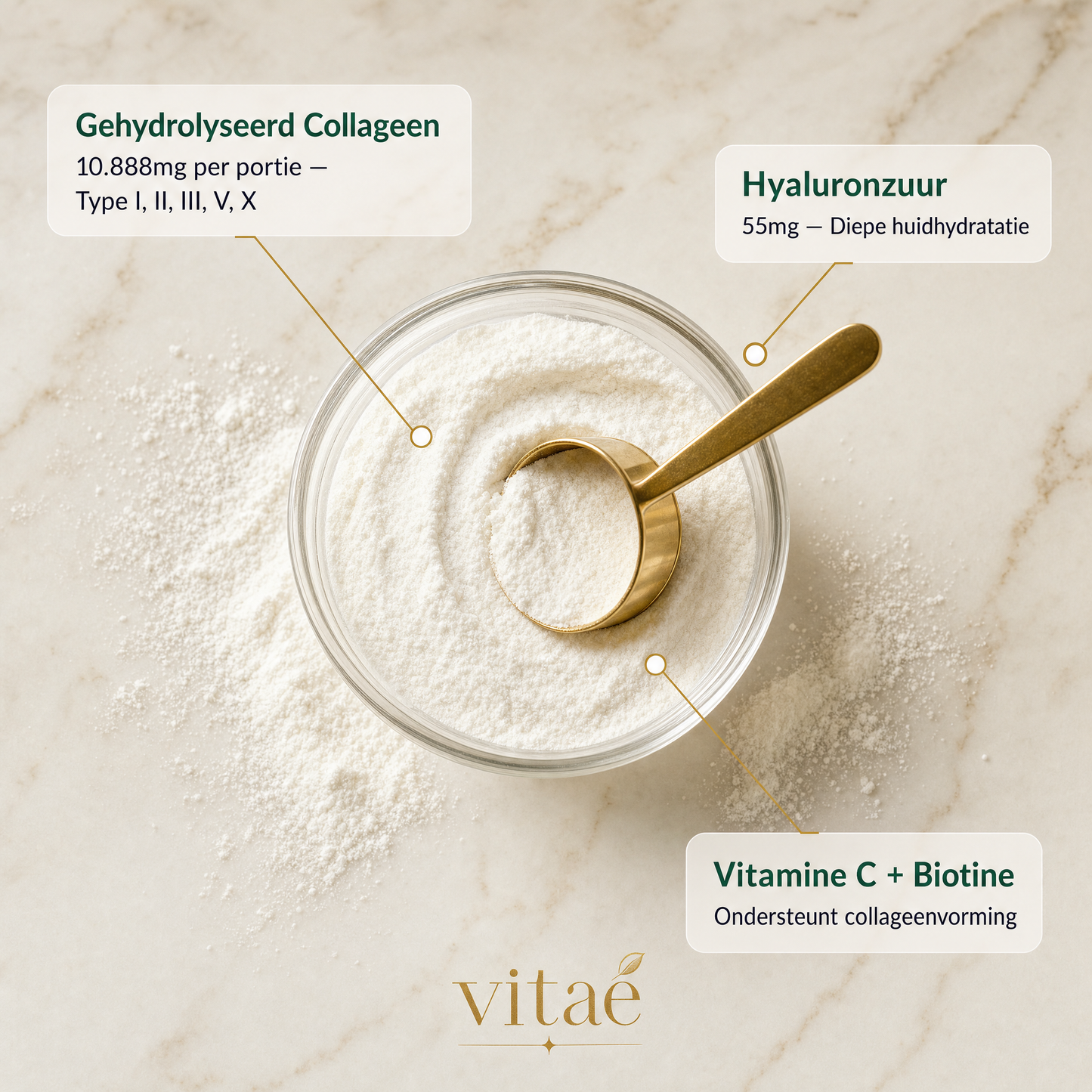 Multi Collageen Peptides Poeder